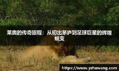 球盟会